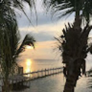 Meet your Posher, Jake